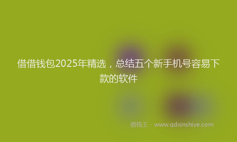 借借钱包2025年精选，总结五个新手机号容易下款的软件