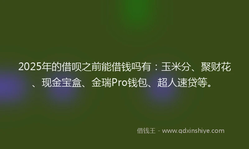 2025年的借呗之前能借钱吗有:玉米分、聚财花、现金宝盒、金瑞Pro钱包、超人速贷等。