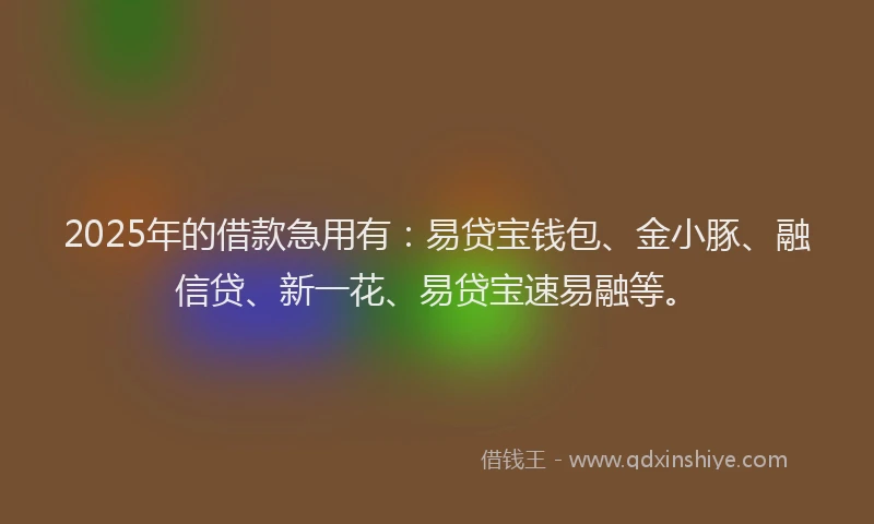 2025年的借款急用有:易贷宝钱包、金小豚、融信贷、新一花、易贷宝速易融等。