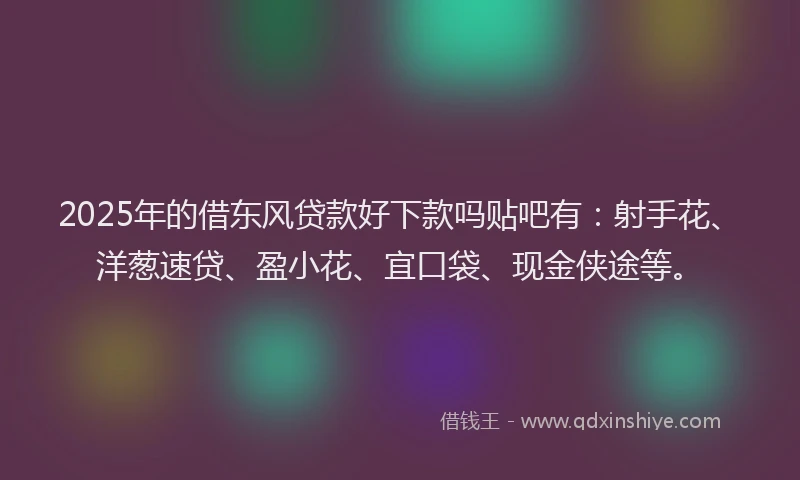2025年的借东风贷款好下款吗贴吧有：射手花、洋葱速贷、盈小花、宜口袋、现金侠途等。