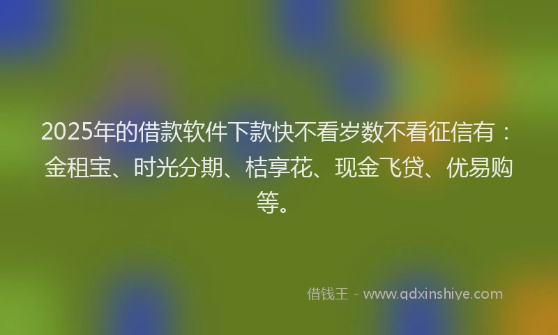 2025年的借款软件下款快不看岁数不看征信有：金租宝、时光分期、桔享花、现金飞贷、优易购等。