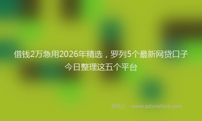 借钱2万急用2026年精选，罗列5个最新网贷口子今日整理这五个平台