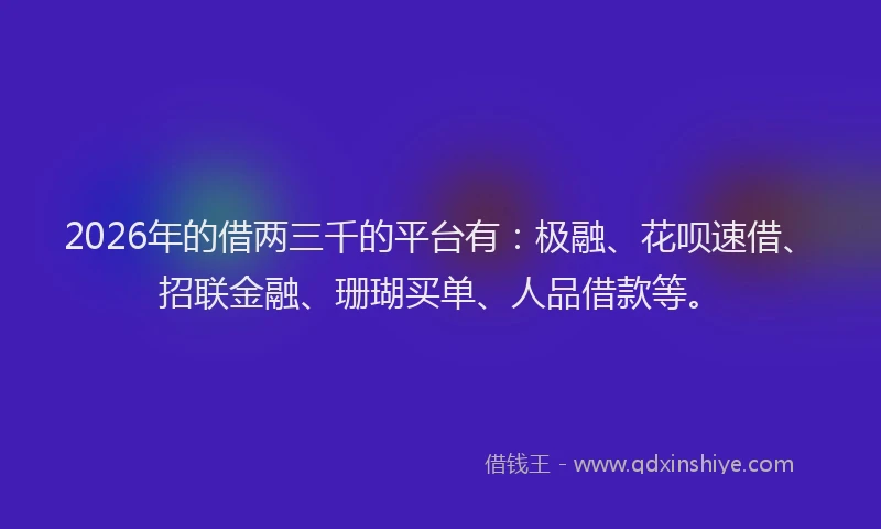 2026年的借两三千的平台有：极融、花呗速借、招联金融、珊瑚买单、人品借款等。
