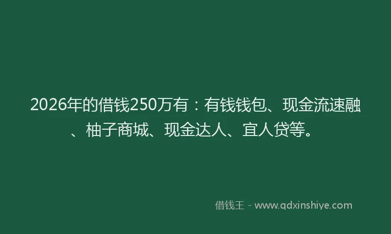 2026年的借钱250万有：有钱钱包、现金流速融、柚子商城、现金达人、宜人贷等。
