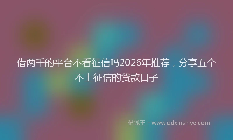 借两千的平台不看征信吗2026年推荐，分享五个不上征信的贷款口子