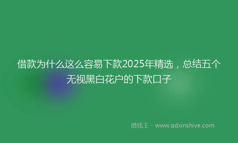 借款为什么这么容易下款2025年精选，总结五个无视黑白花户的下款口子