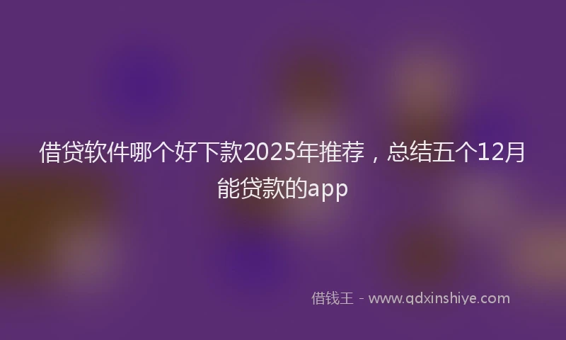 借贷软件哪个好下款2025年推荐，总结五个12月能贷款的app
