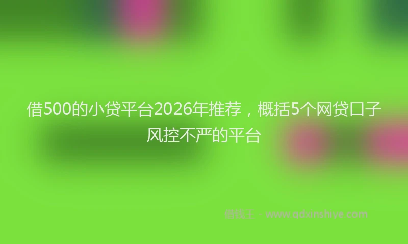 借500的小贷平台2026年推荐，概括5个网贷口子风控不严的平台