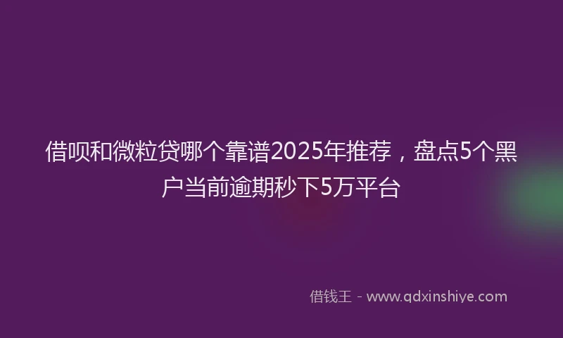 借呗和微粒贷哪个靠谱2025年推荐，盘点5个黑户当前逾期秒下5万平台
