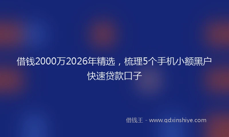 借钱2000万2026年精选，梳理5个手机小额黑户快速贷款口子