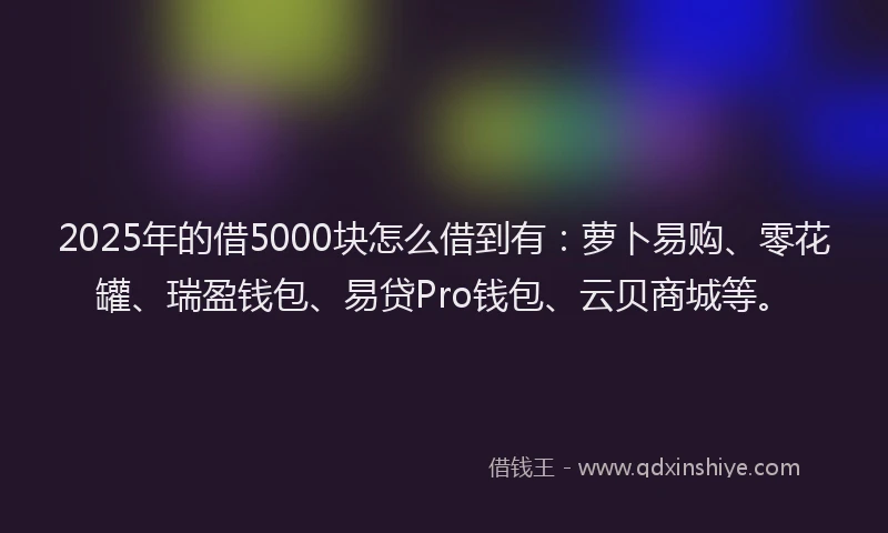 2025年的借5000块怎么借到有:萝卜易购、零花罐、瑞盈钱包、易贷Pro钱包、云贝商城等。