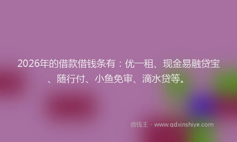 2026年的借款借钱条有：优一租、现金易融贷宝、随行付、小鱼免审、滴水贷等。