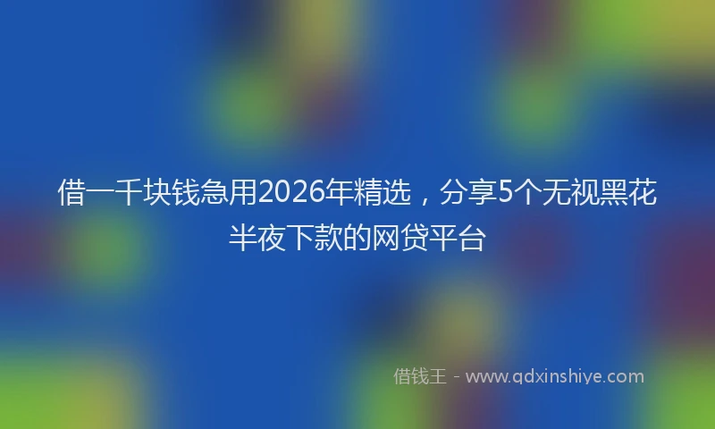 借一千块钱急用2026年精选，分享5个无视黑花半夜下款的网贷平台