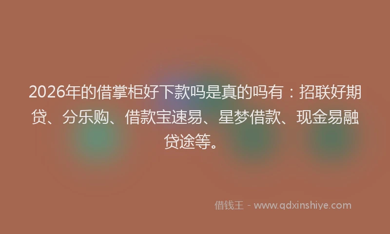 2026年的借掌柜好下款吗是真的吗有：招联好期贷、分乐购、借款宝速易、星梦借款、现金易融贷途等。