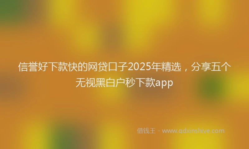 信誉好下款快的网贷口子2025年精选,分享五个无视黑白户秒下款app