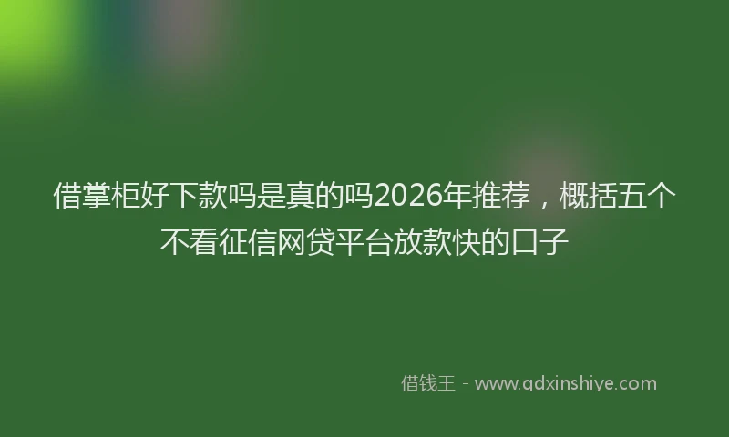 借掌柜好下款吗是真的吗2026年推荐，概括五个不看征信网贷平台放款快的口子