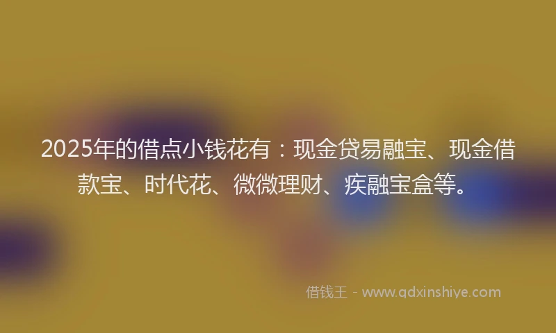 2025年的借点小钱花有:现金贷易融宝、现金借款宝、时代花、微微理财、疾融宝盒等。