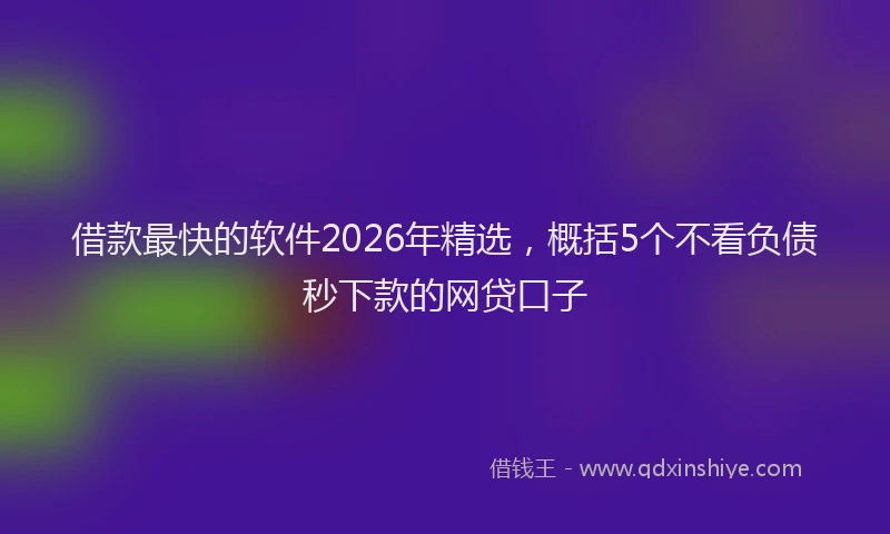 借款最快的软件2026年精选，概括5个不看负债秒下款的网贷口子