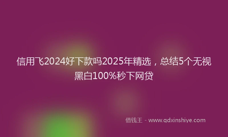信用飞2024好下款吗2025年精选，总结5个无视黑白100%秒下网贷