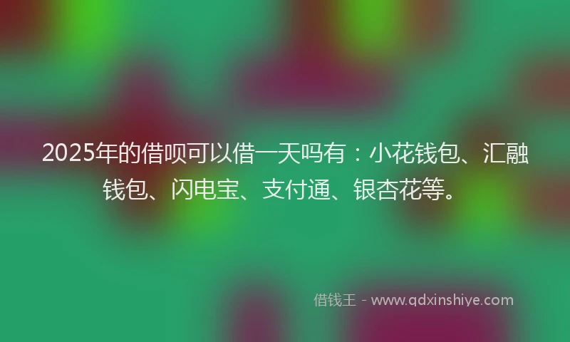 2025年的借呗可以借一天吗有：小花钱包、汇融钱包、闪电宝、支付通、银杏花等。
