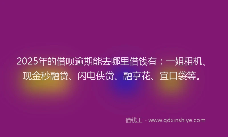 2025年的借呗逾期能去哪里借钱有:一姐租机、现金秒融贷、闪电侠贷、融享花、宜口袋等。