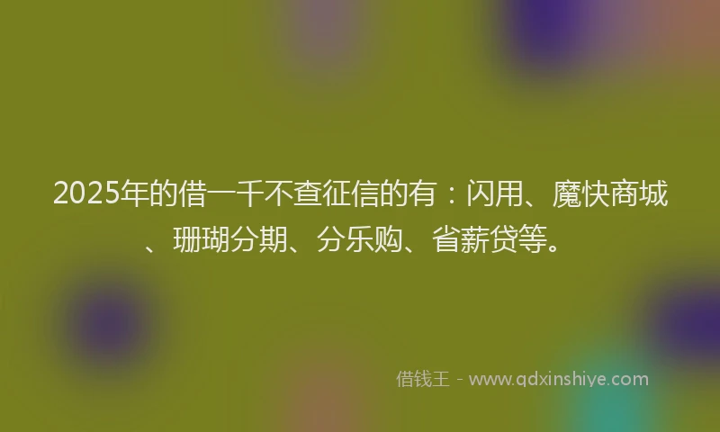 2025年的借一千不查征信的有：闪用、魔快商城、珊瑚分期、分乐购、省薪贷等。
