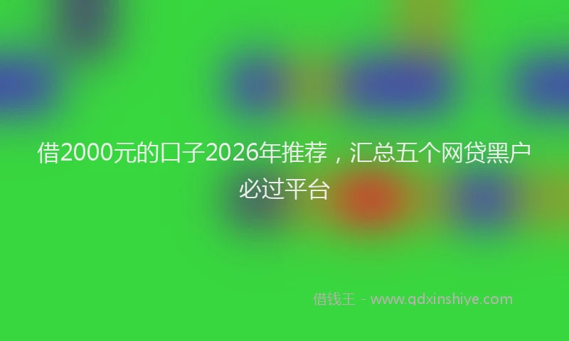 借2000元的口子2026年推荐，汇总五个网贷黑户必过平台