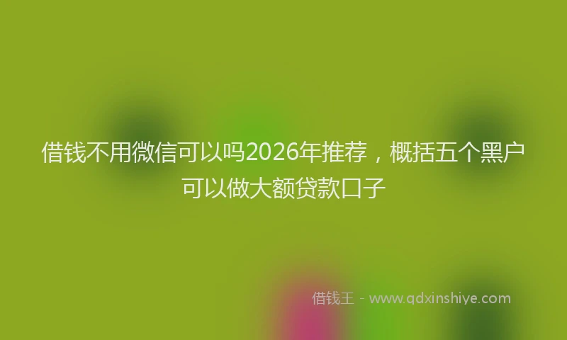 借钱不用微信可以吗2026年推荐，概括五个黑户可以做大额贷款口子