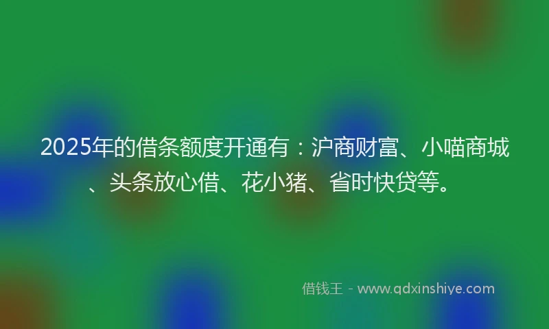 2025年的借条额度开通有：沪商财富、小喵商城、头条放心借、花小猪、省时快贷等。