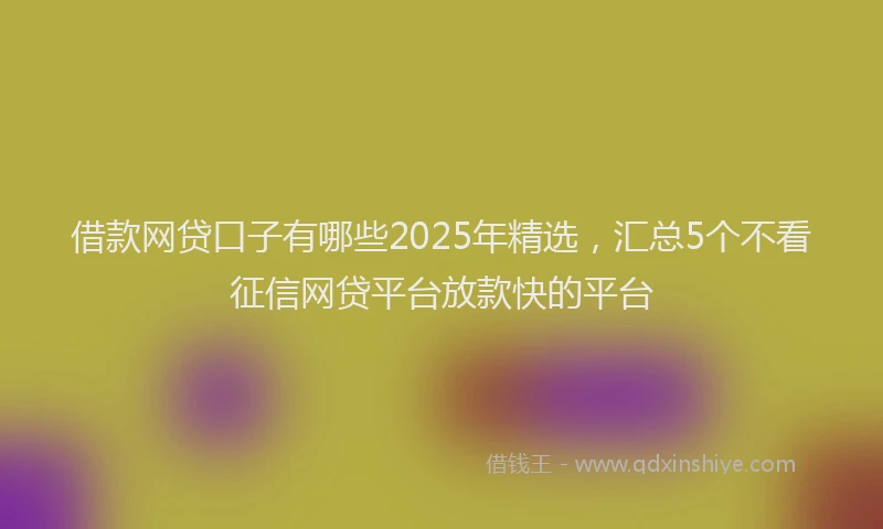 借款网贷口子有哪些2025年精选，汇总5个不看征信网贷平台放款快的平台