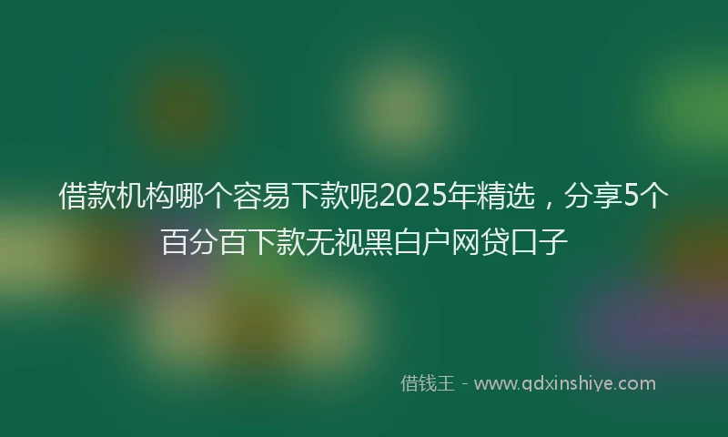 借款机构哪个容易下款呢2025年精选，分享5个百分百下款无视黑白户网贷口子