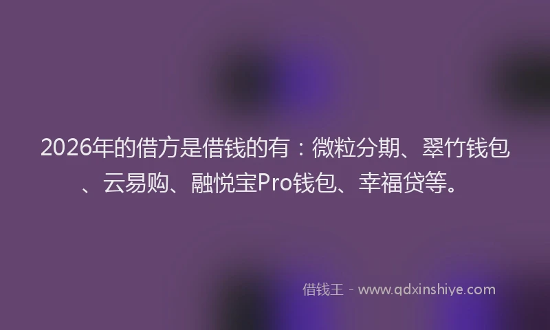 2026年的借方是借钱的有：微粒分期、翠竹钱包、云易购、融悦宝Pro钱包、幸福贷等。