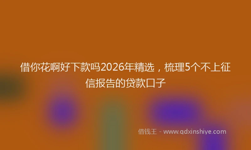 借你花啊好下款吗2026年精选，梳理5个不上征信报告的贷款口子