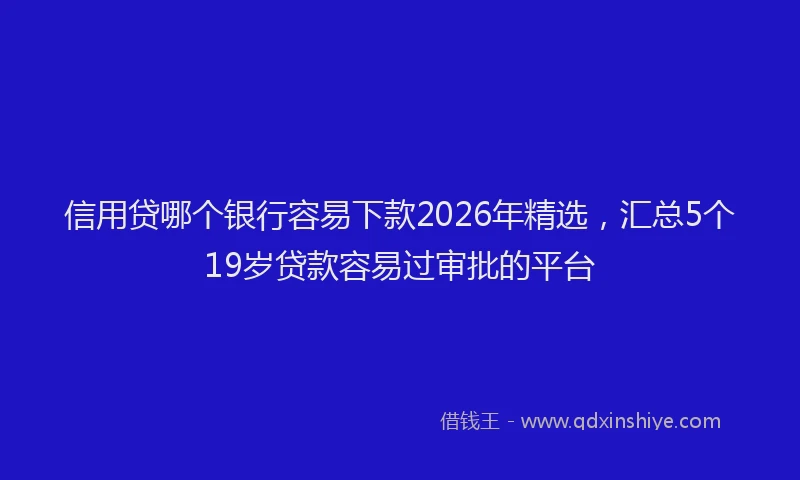 信用贷哪个银行容易下款2026年精选，汇总5个19岁贷款容易过审批的平台