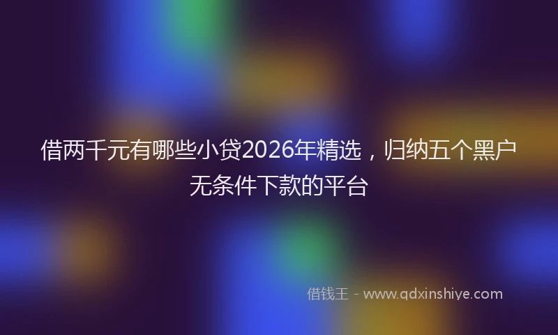 借两千元有哪些小贷2026年精选，归纳五个黑户无条件下款的平台
