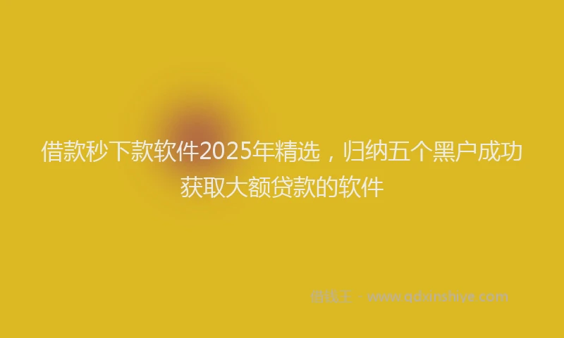 借款秒下款软件2025年精选，归纳五个黑户成功获取大额贷款的软件