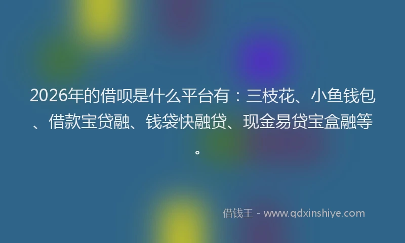 2026年的借呗是什么平台有:三枝花、小鱼钱包、借款宝贷融、钱袋快融贷、现金易贷宝盒融等。