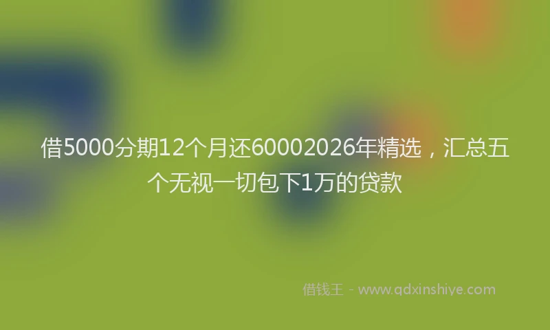 借5000分期12个月还60002026年精选，汇总五个无视一切包下1万的贷款