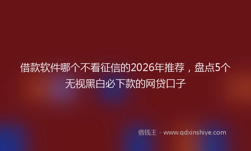借款软件哪个不看征信的2026年推荐,盘点5个无视黑白必下款的网贷口子
