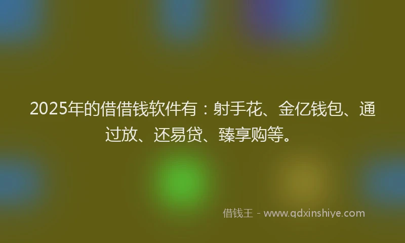 2025年的借借钱软件有：射手花、金亿钱包、通过放、还易贷、臻享购等。