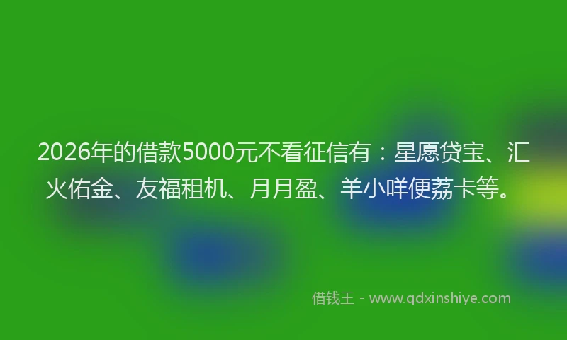 2026年的借款5000元不看征信有：星愿贷宝、汇火佑金、友福租机、月月盈、羊小咩便荔卡等。