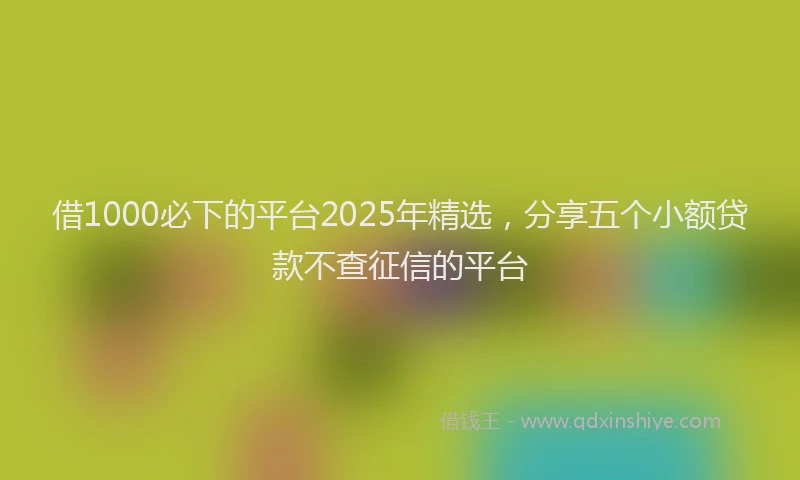 借1000必下的平台2025年精选，分享五个小额贷款不查征信的平台