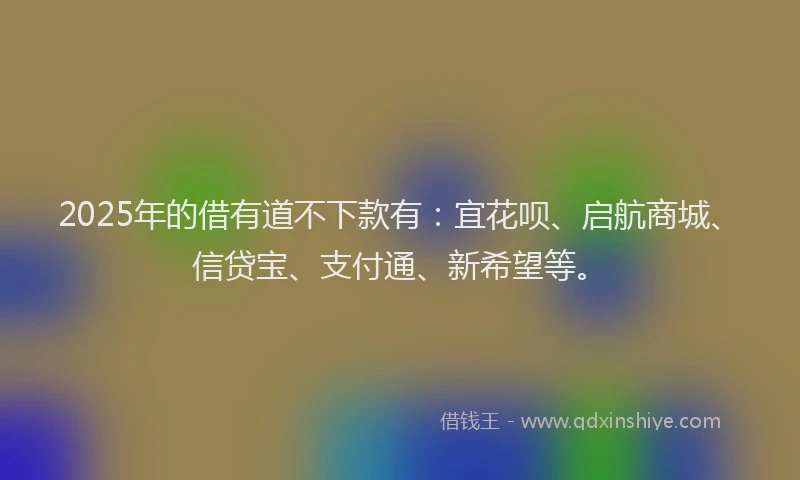 2025年的借有道不下款有：宜花呗、启航商城、信贷宝、支付通、新希望等。