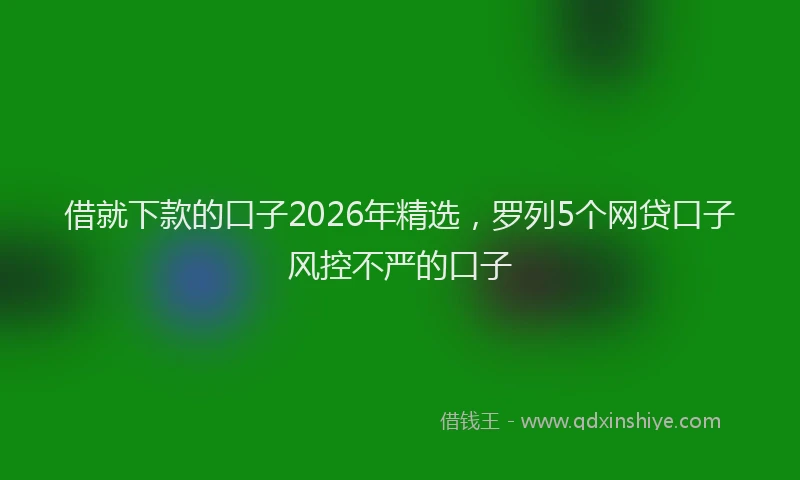 借就下款的口子2026年精选，罗列5个网贷口子风控不严的口子