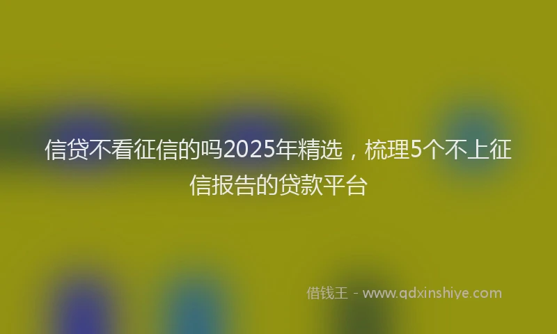 信贷不看征信的吗2025年精选，梳理5个不上征信报告的贷款平台