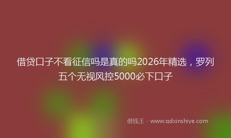 借贷口子不看征信吗是真的吗2026年精选,罗列五个无视风控5000必下口子