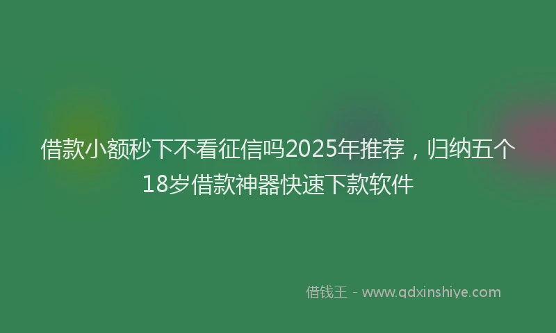 借款小额秒下不看征信吗2025年推荐，归纳五个18岁借款神器快速下款软件