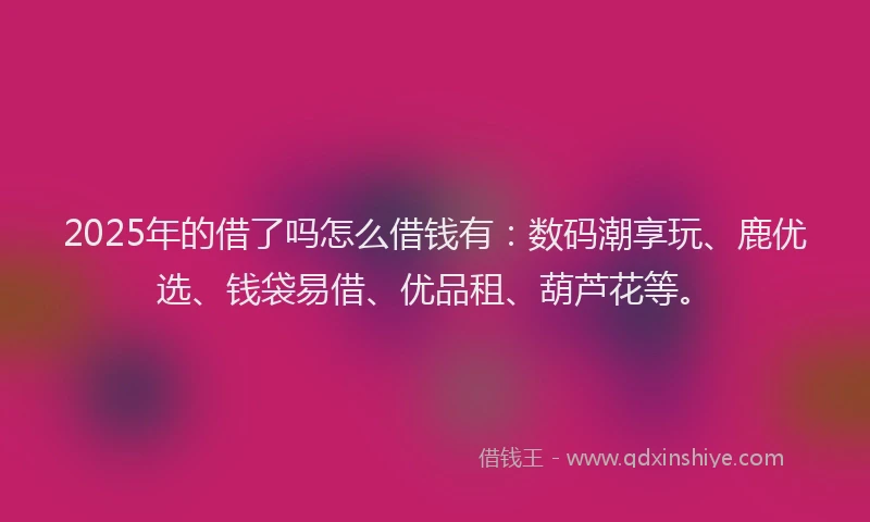2025年的借了吗怎么借钱有：数码潮享玩、鹿优选、钱袋易借、优品租、葫芦花等。