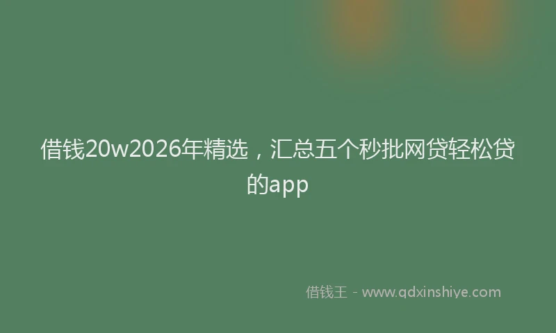 借钱20w2026年精选,汇总五个秒批网贷轻松贷的app