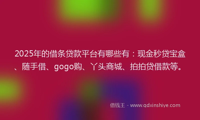 2025年的借条贷款平台有哪些有：现金秒贷宝盒、随手借、gogo购、丫头商城、拍拍贷借款等。